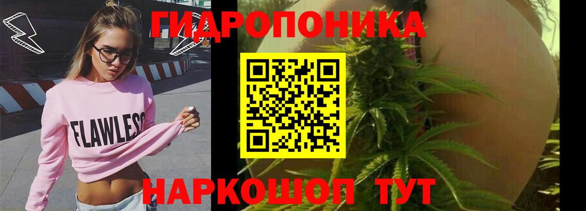Каннабис SATIVA & INDICA  Вход с VPN  Елабуга  Конопля тримм 